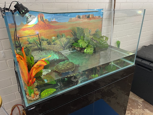 Reptiles Inc. - Thumbnail