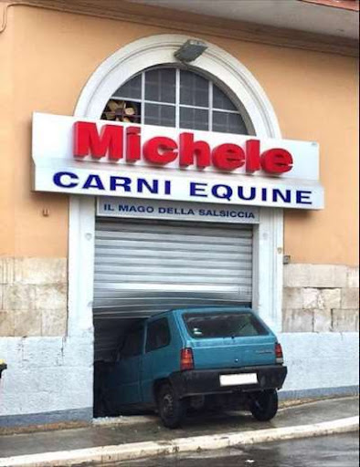 Michele Carni Equine