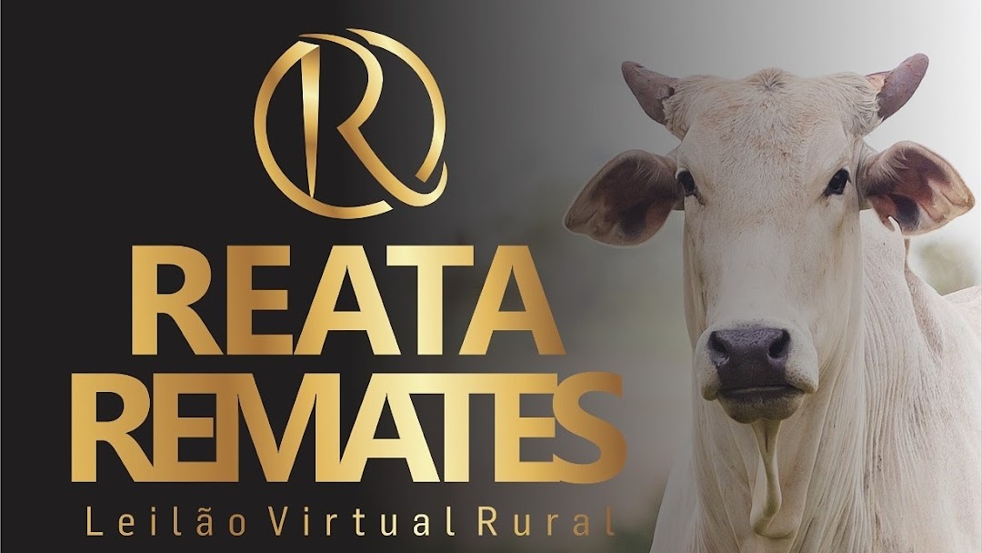 Virtual Remates Ltda