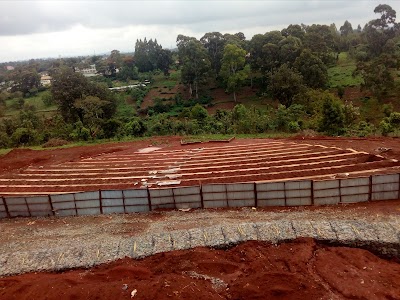 Photos of Wangari Maathai Peace Park