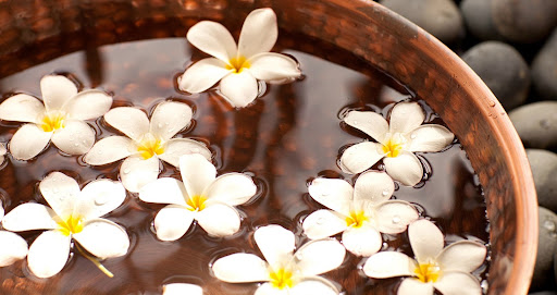SpaTerre Naples - Visual