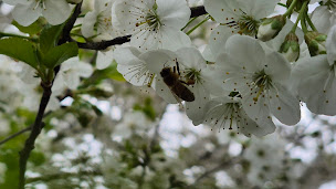 Photo n°18 de Les Fabuleuses du Berry à Lugny-Champagne (Magasin de produits de la ferme)