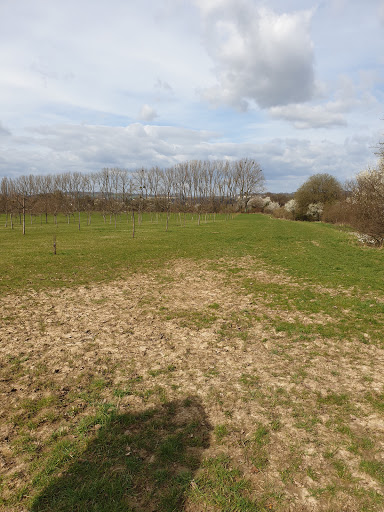 Friedhof Spork-Eichholz - Thumbnail