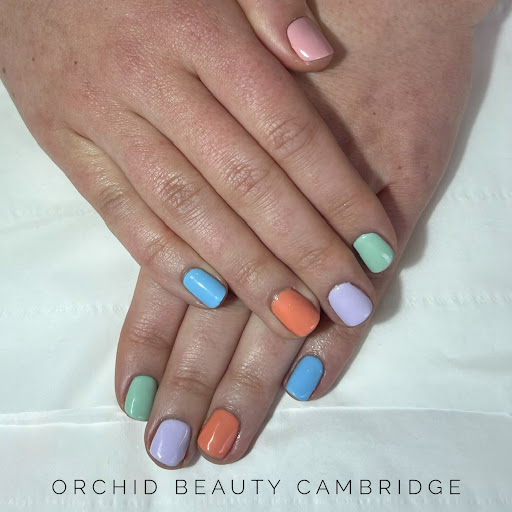 Orchid Beauty Cambridge