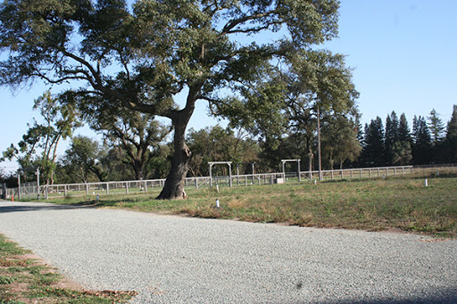 Lockewood Stables