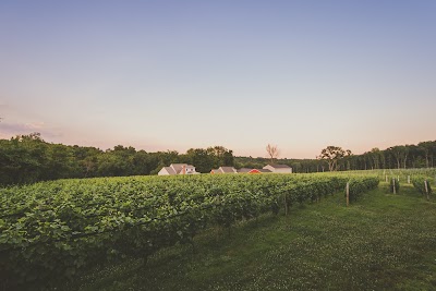 Taylor Brooke Winery