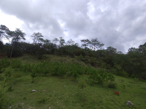 El ojite - Visual