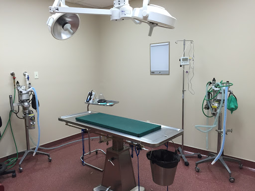 Animal Hospital of Monticello - Thumbnail