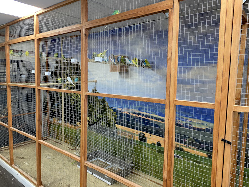 The Witham Pet Store - Thumbnail
