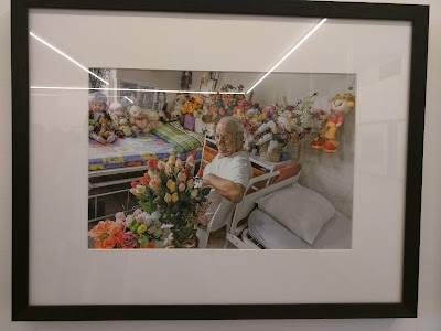 art-gallery