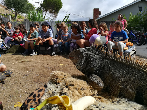 Thor's Reptile Family