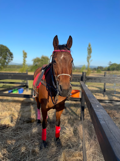 Rose City Polo Club - United States