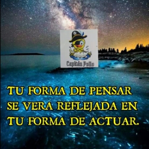 Capitan Pollo - Visual