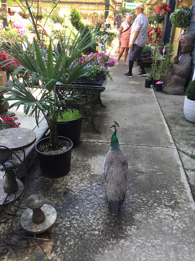 Springtime Garden Centre Gallery - Canada
