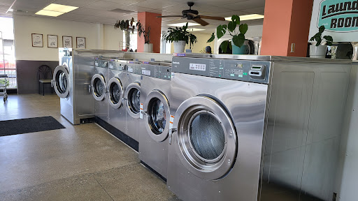 The Laundry Room - Ash - Thumbnail