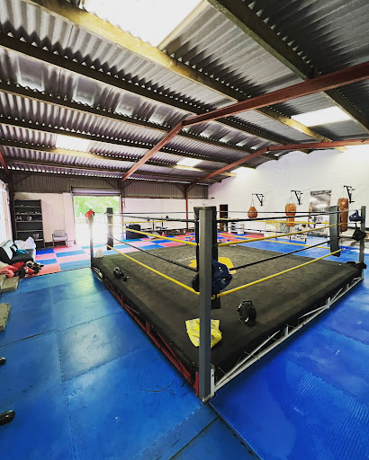 High Cross Amateur Boxing Cub - Thumbnail