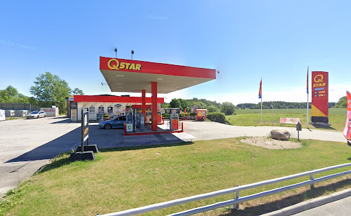 Qstar&Frendo(Lpg gas biogas)