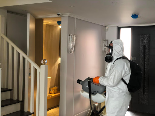 Clean Expert - Visual