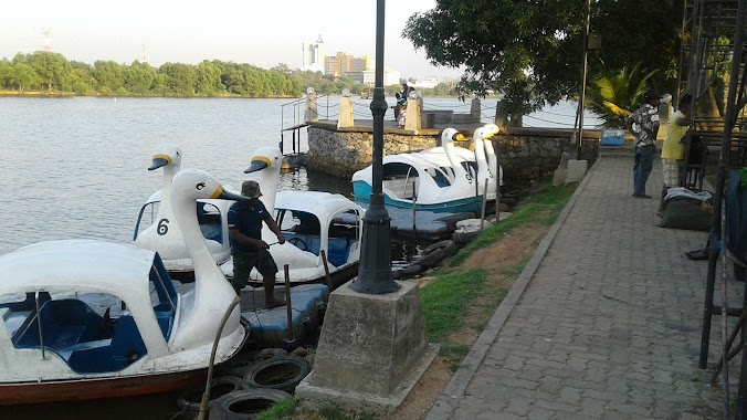 Swan Boat Service, Author: Shenal Chathuranka