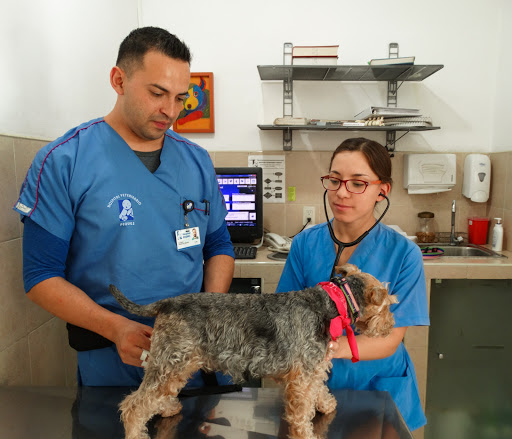 Hospital Veterinario Peques