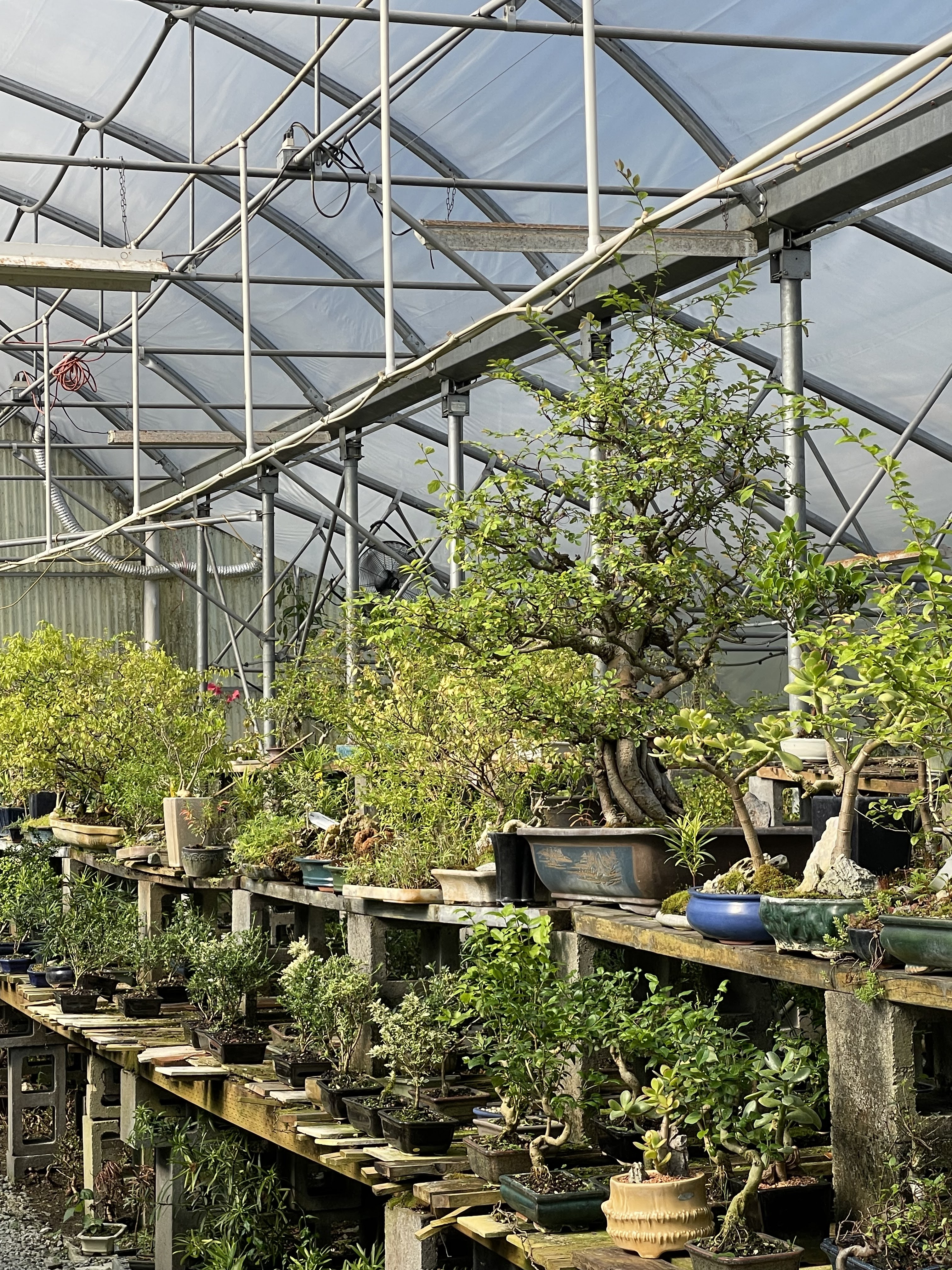 Asia Pacific Gardening