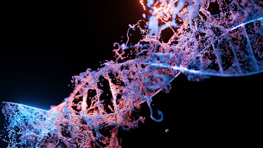 Palm Beach Stem Cell - Visual