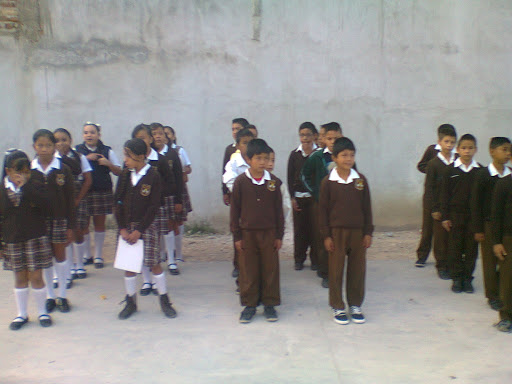 Primaria Acolmiztli - Thumbnail