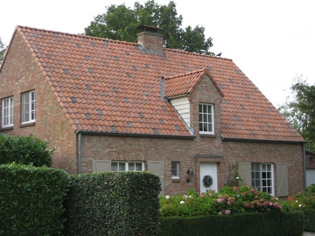 Comentarii opinii despre Dakette Dakwerken