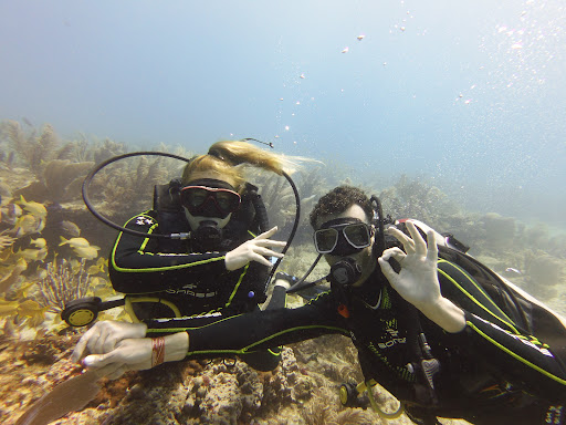Diving Puerto Morelos OMDelfin