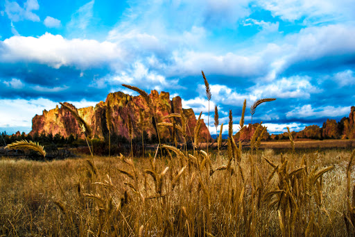 Coldwell Banker Mayfield Realty - Thumbnail