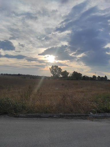 Martano - Visual