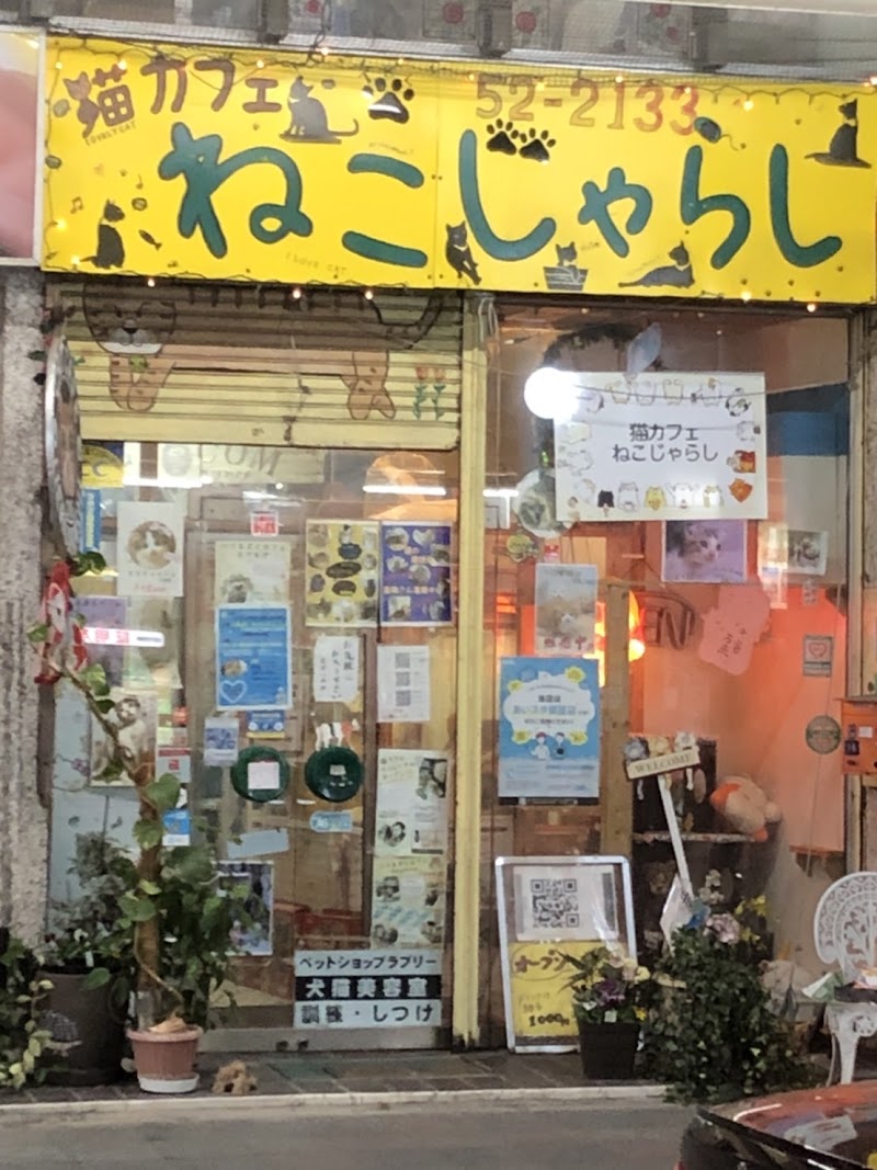 ペットショップ＆猫カフェ ねこじゃらし 一宮市本町店