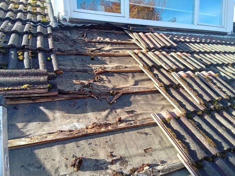 Aberdeen Property Maintenance and Roofing Repairs photo 3
