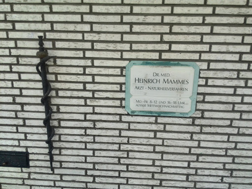 Mammes Heinrich Dr. med. Arzt für Allgemeinmedizin Chirotherapie Naturheilverfahren