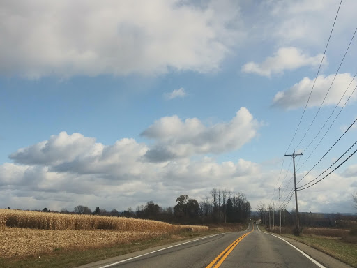 McBride Fields - Visual