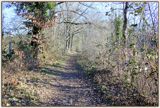 Sentier de la découverte ( Grotte du Hohlenstein )