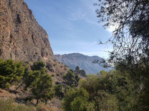 Recreation Area Pinar de Bonanza - Thumbnail