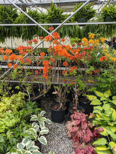 Signal Mountain Nursery - Thumbnail