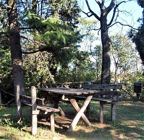 Parco di Monte Ugone Gallery - Italy
