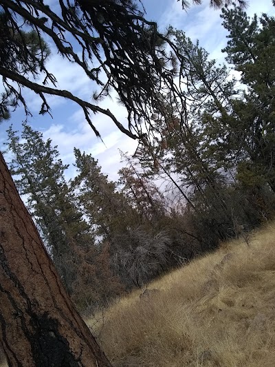 Black Canyon Wilderness (Oregon)