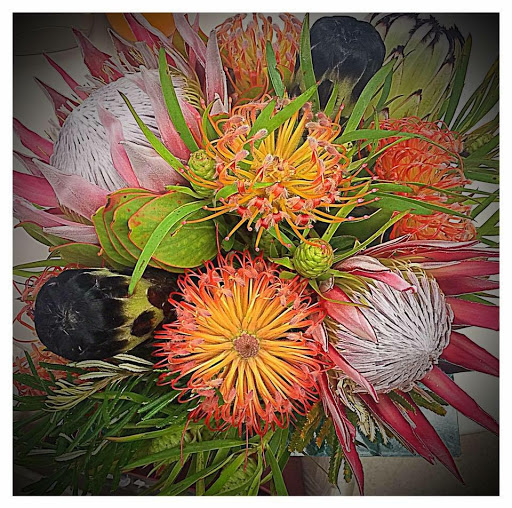 Bloom Health Services for Women PLLC