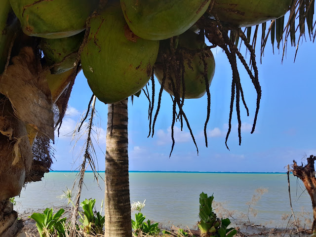 Mara'ai le spot 2 Chambres indépendantes, 2 SDB privées avec piscine by null