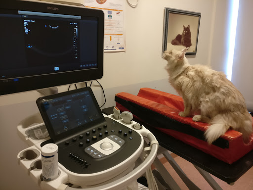 Erikslust Veterinärklinik - Thumbnail
