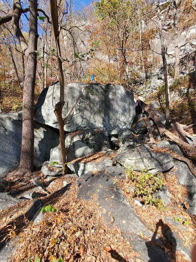 Chimney Rock State Park - Rumbling Bald - Thumbnail