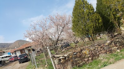 Photos of G&ouml;kler K&ouml;y&uuml; Harmanı