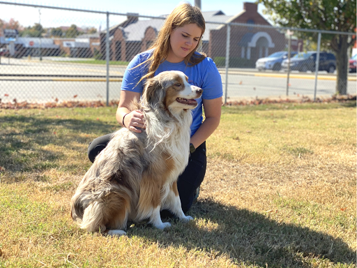 Central Pet Care - Thumbnail