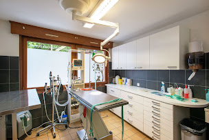 Photo n°23 de Clinique Vétérinaire du Parc à Calais (Vétérinaire)