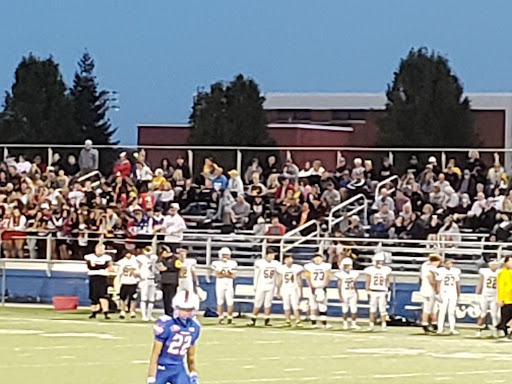 Springfield Community Stadium - Thumbnail