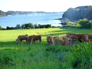 Photo n°1 de GAEC de La Ferme de l'Etang à Arradon (Ferme d'élevage)