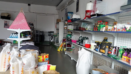 TIENDA ARTICULOS PARA ANIMALES Y PIENSOS CACERES TODO+COTAS